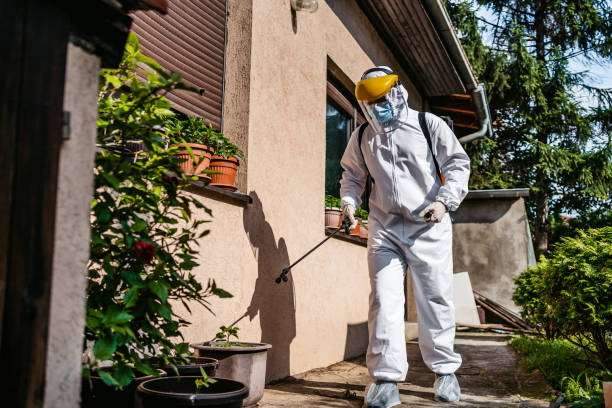 Best Pest Removal Services  in Vla Park, IL