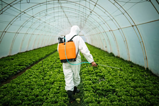 Professional Pest Control in Villa Park, IL