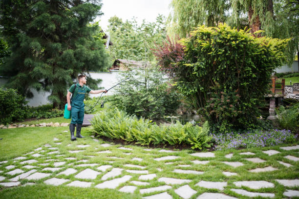 Flea Control Services in Villa Park, IL