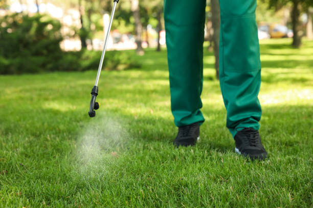 Best Exterminator Services  in Vla Park, IL