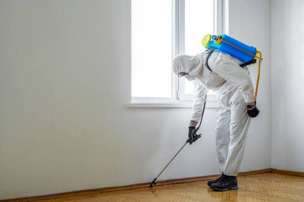 Best Flea Control Services  in Vla Park, IL