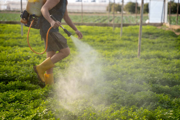 Best Mosquito Control Services  in Vla Park, IL