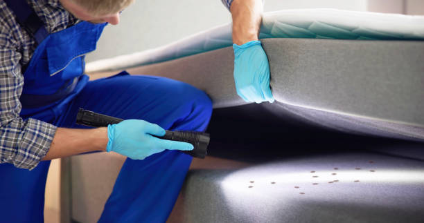 Best Best Pest Control Companies  in Vla Park, IL